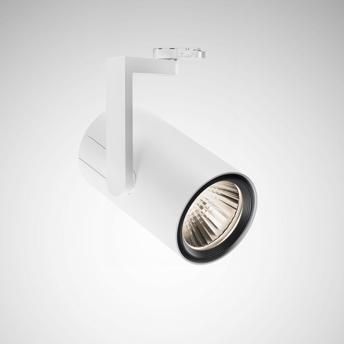 Trilux Canilo Plus Spots / projektor canilo plus reflector wit rond etdd 45W medium flood