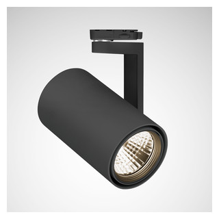 Trilux Canilo Spots / projektor canilo reflector zwart rond etble 36W 4505LM flood (