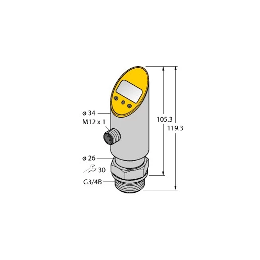 Turck Pressure transmitter (front-flush) with analog output and PNP/NPN tra
