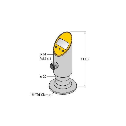 Turck Pressure transmitter (front-flush) with analog output and PNP/NPN tra