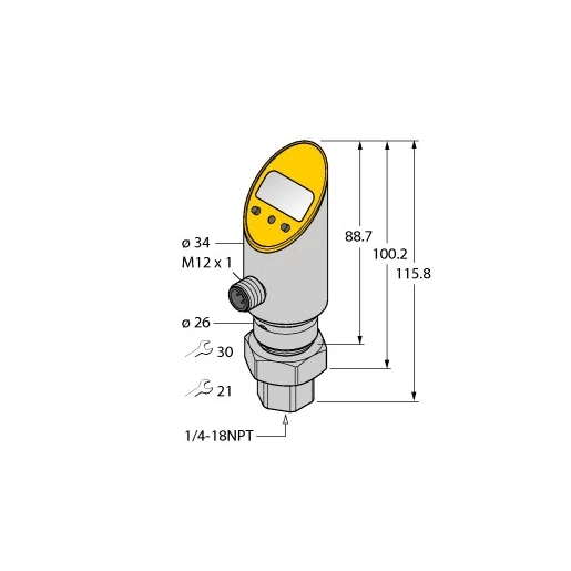 Turck Pressure transmitter (rotatable) with analog output and PNP/NPN trans