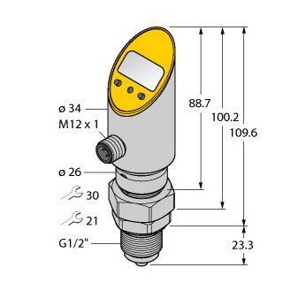 Turck Pressure transmitter (rotatable) with analog output and PNP/NPN trans