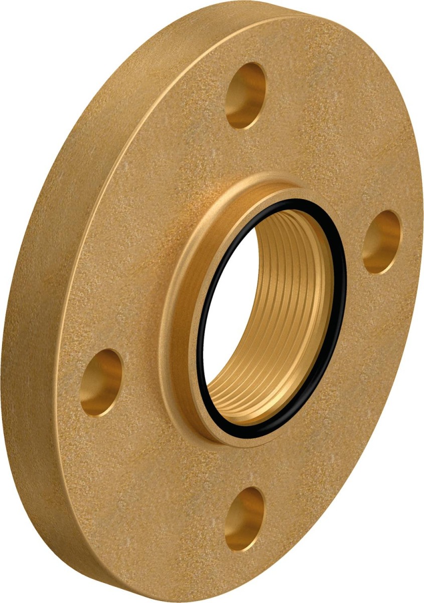 Wipex Draadflens binnendraad F50/4-125/G2