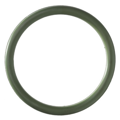 VSH XPress Xpress O-ring FPM 66,7
