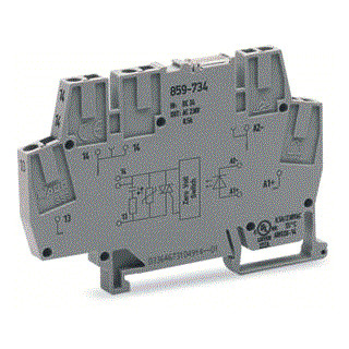 Wago Optok. 6MM 24VDC/230vac/0,5a/2L/RC