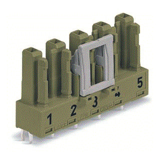 Wago Steker female print 5-pol.GN.