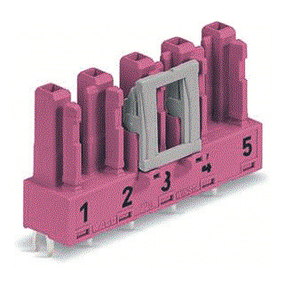 Wago Steker female print 5-pol.RZ.