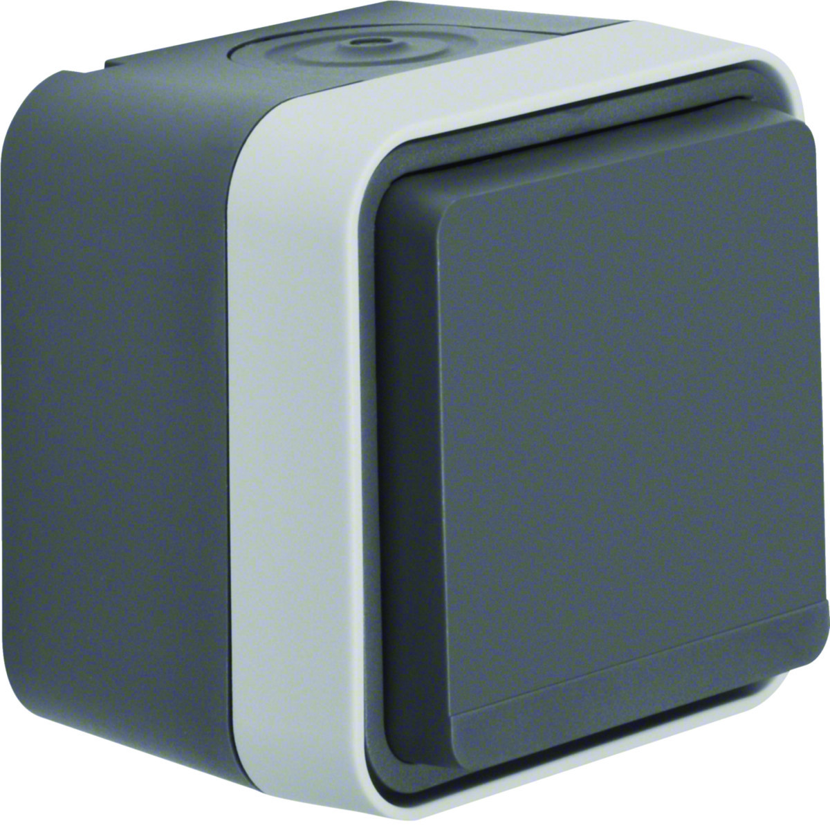 Wandcontactdoos 1-voudig met behuizing, W.1 eco, grijs