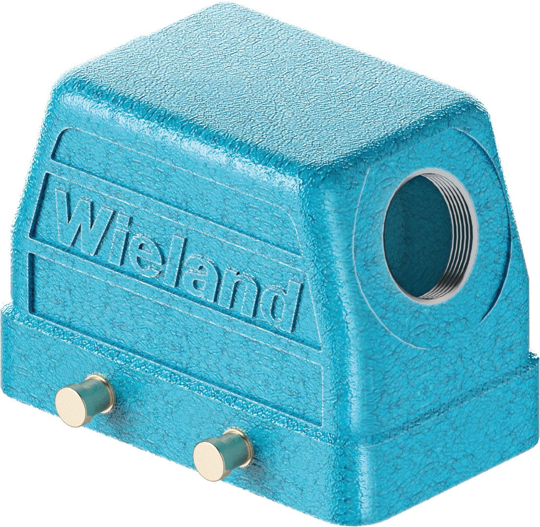 Wieland REVOS Bovenhuis Ex got ga10 M25 09ia Z1