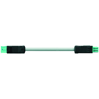 Wieland Bst14i2 patchkabel gebouwinstallatie 2P contrastekker (female) stekker 2000MM