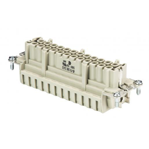 Wieland Female insert bas buf SB 24 2,5 50
