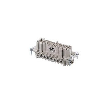 Wieland Female insert bas bus 16 2,5 50