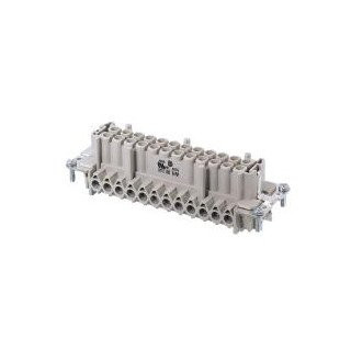 Wieland Female insert bas bus 24 2,5 50