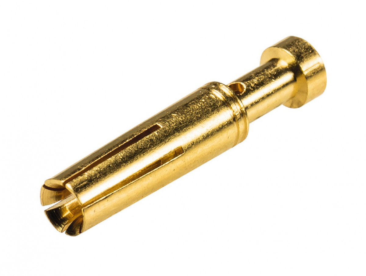 Wieland Female kontakt 4QMM au