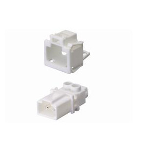 Wieland GST15 apparatuuraansluiting voor insteekbare gebouwinstallatie 2P male recht