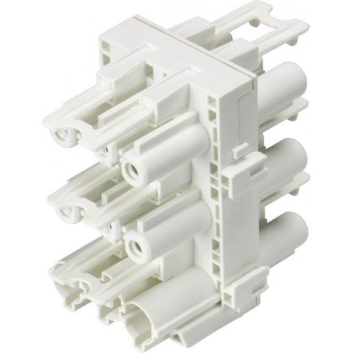 Wieland HH verdeler gst18i3 1/5 wit met montageoptie