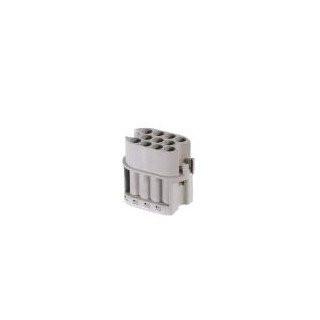 Wieland Male insertmot STC 2 10 69