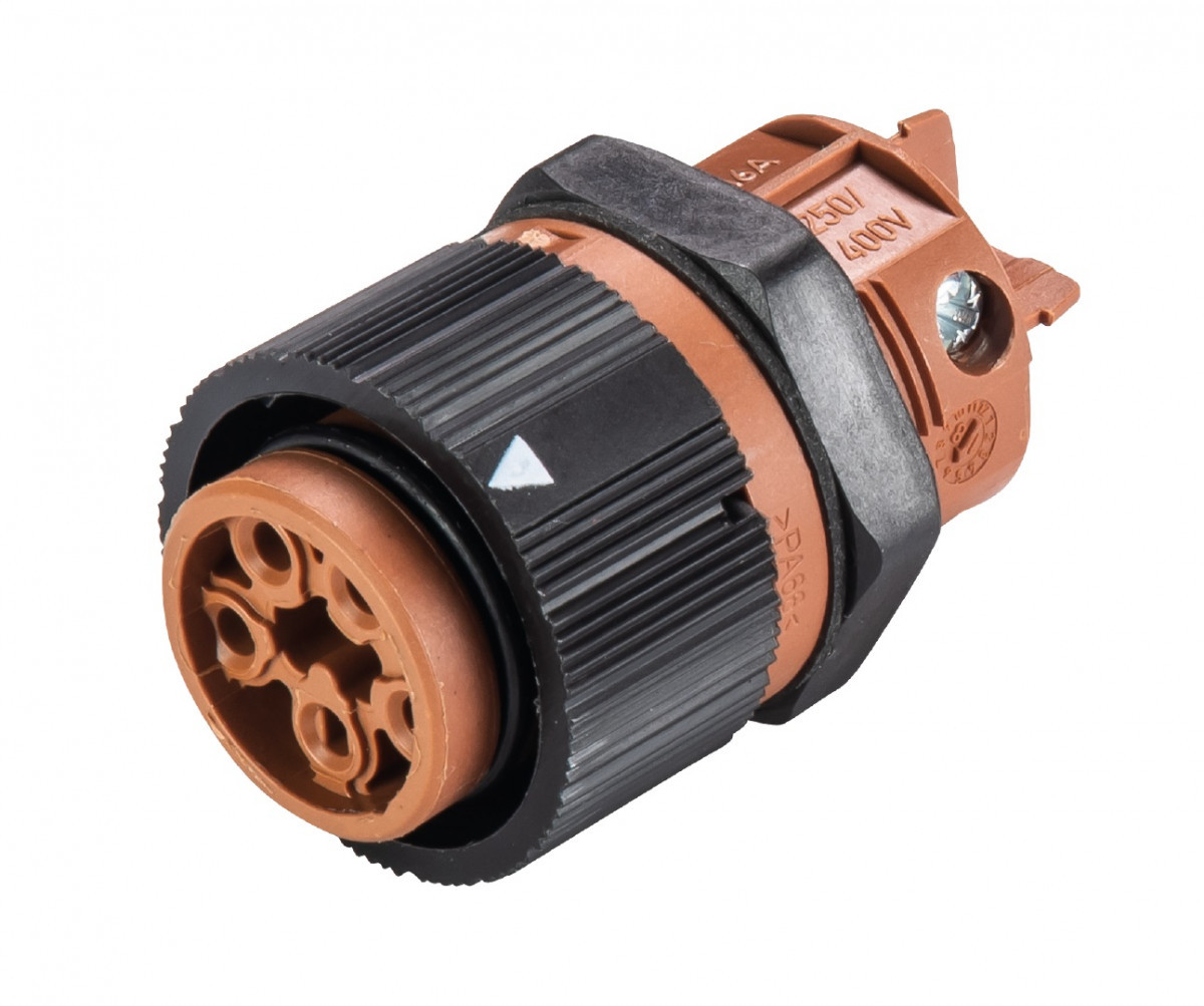 Wieland RST mini apparatuuraansluiting voor insteekbare gebouwinstallatie 4P contrasteker (female) recht