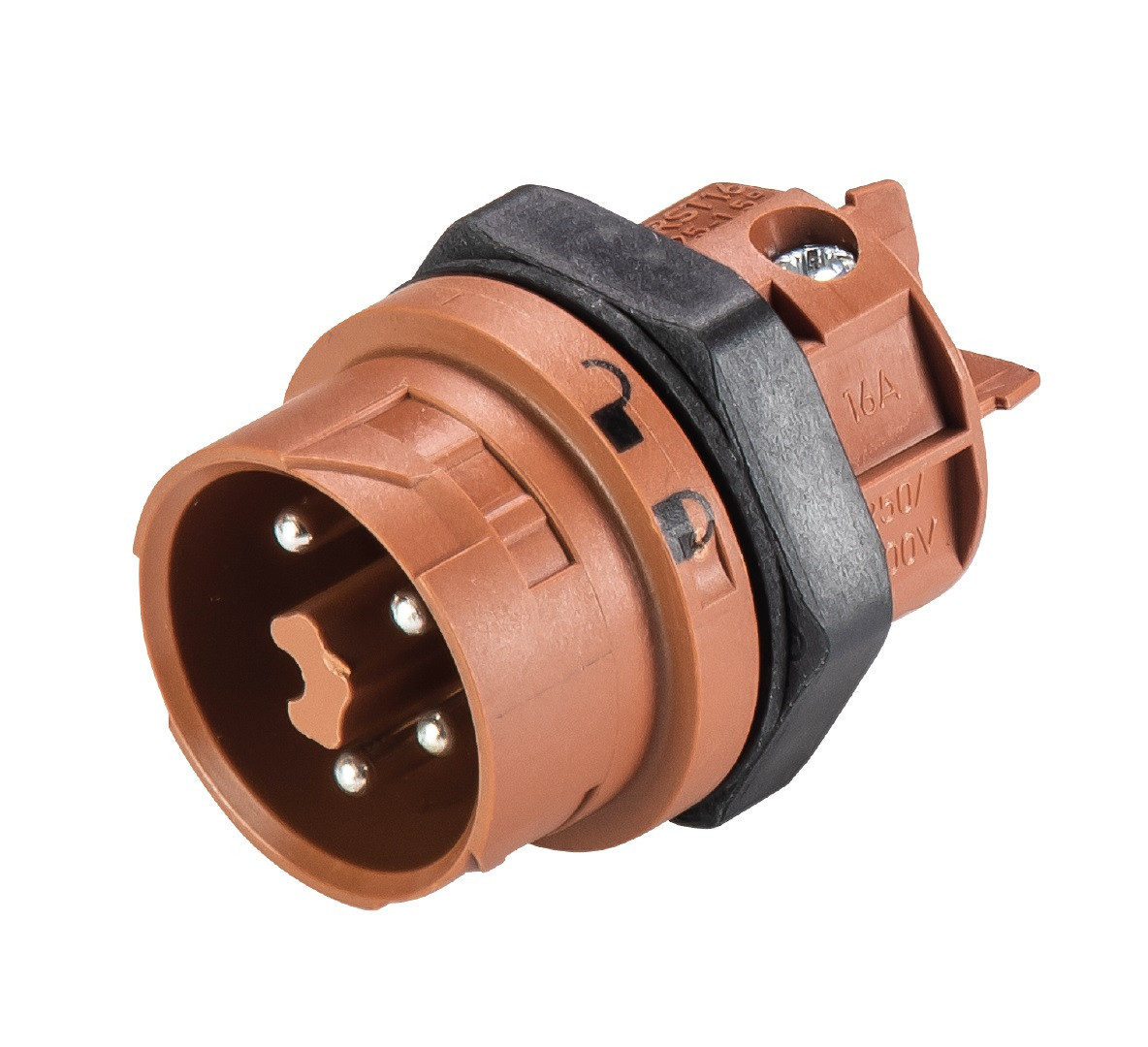 Wieland RST mini apparatuuraansluiting voor insteekbare gebouwinstallatie 4P steker recht