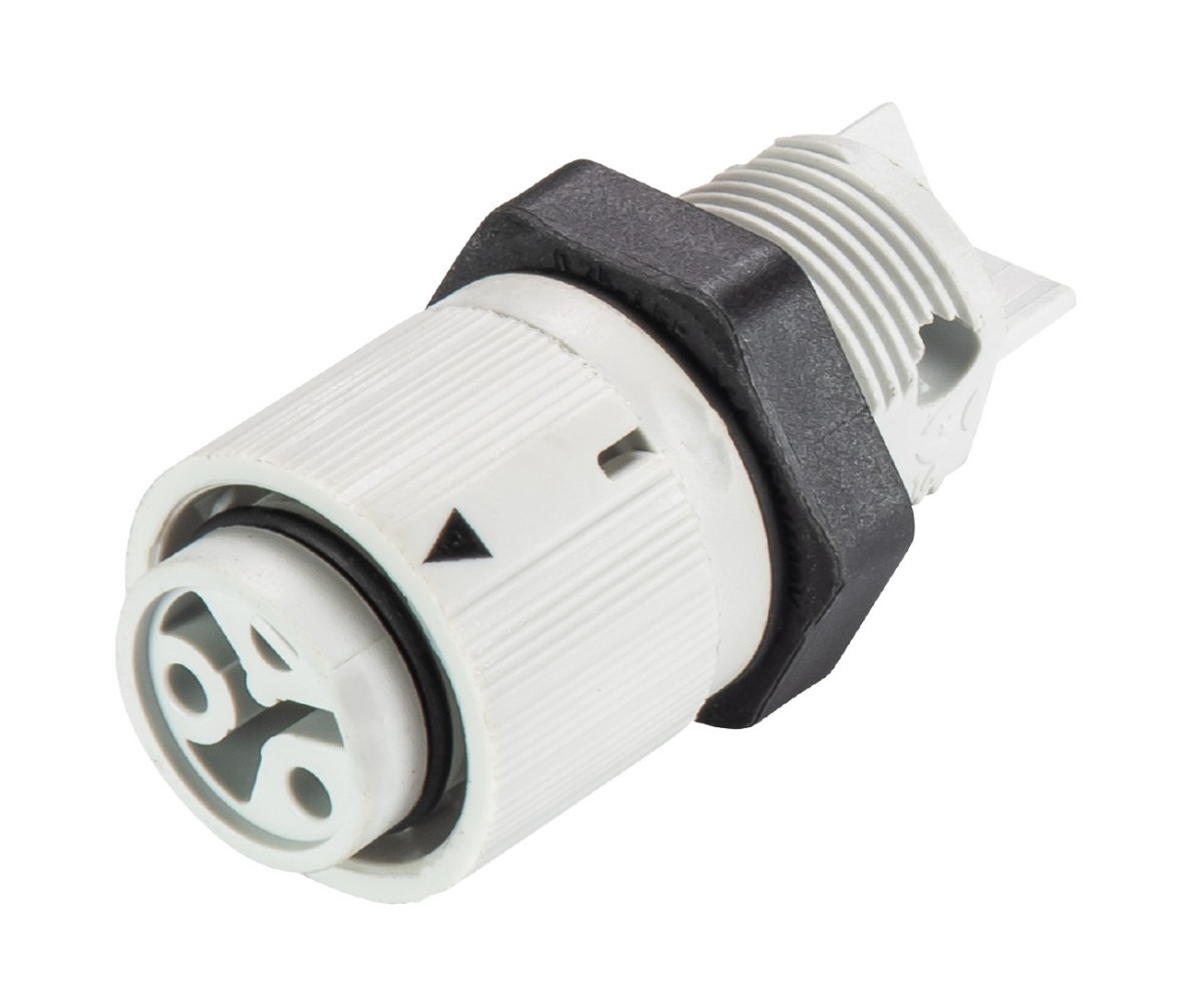 Wieland RST16I2 Rst16i2 Female chassis 2-polig schroef lichtgrijs