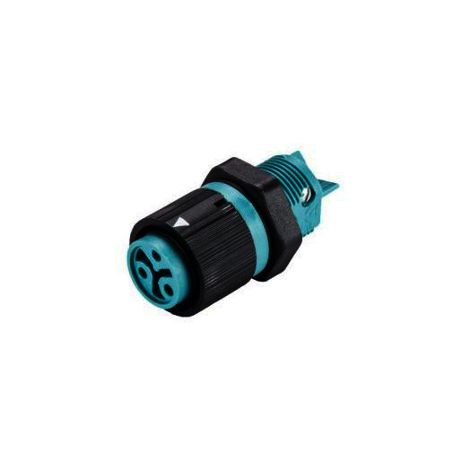 Wieland Rst16i3 female chassis schroef turquoise