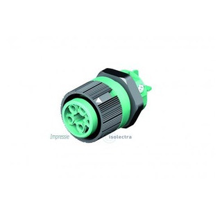 Wieland RST mini apparatuuraansluiting voor insteekbare gebouwinstallatie 5P contrasteker (female) recht