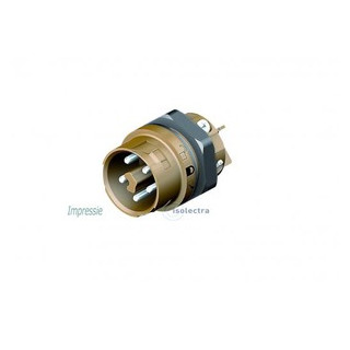 Wieland RST mini apparatuuraansluiting voor insteekbare gebouwinstallatie 5P steker recht
