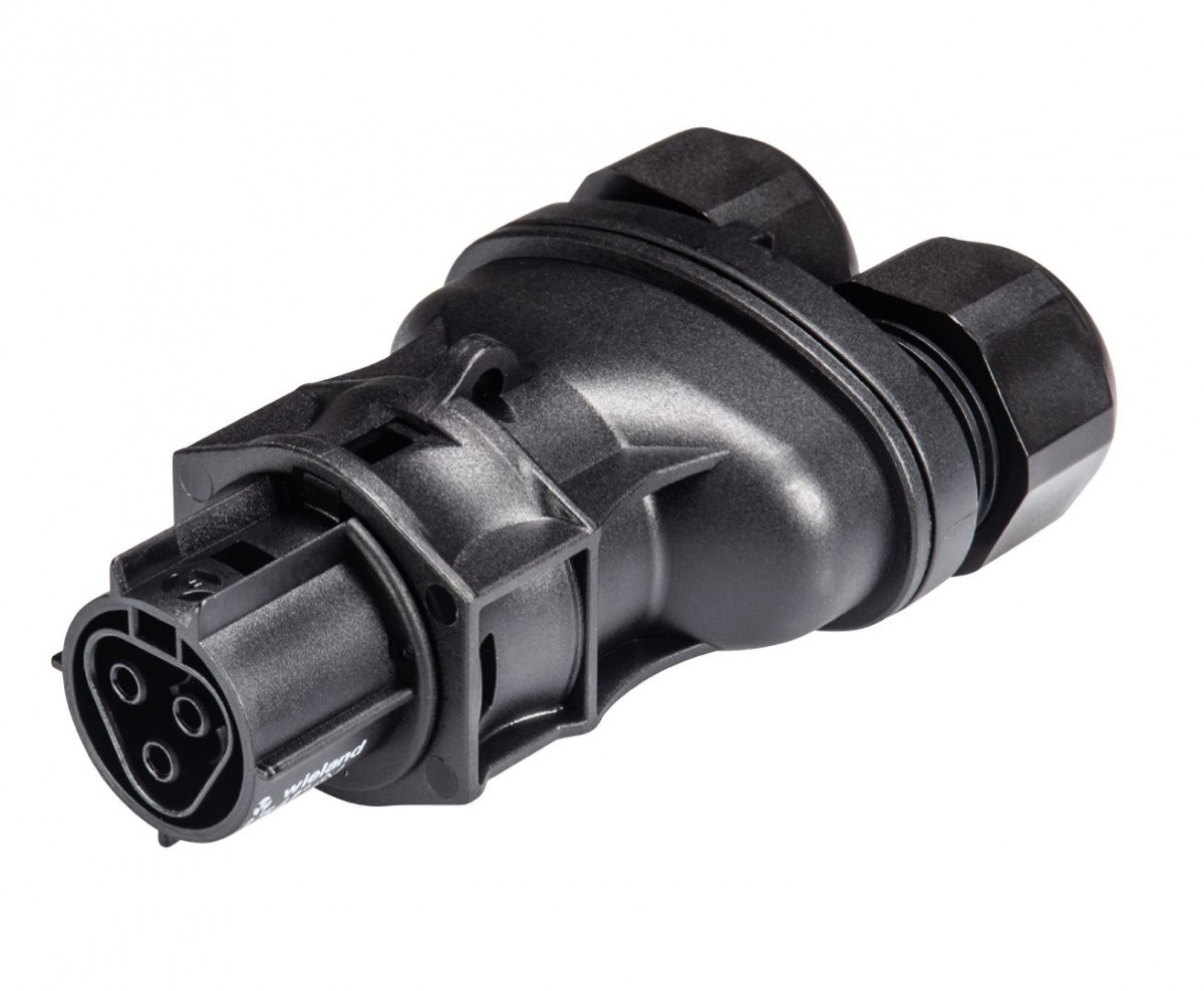 Wieland Rst20i3 kabelsteker female zwart 2-voudig 10-14MM2