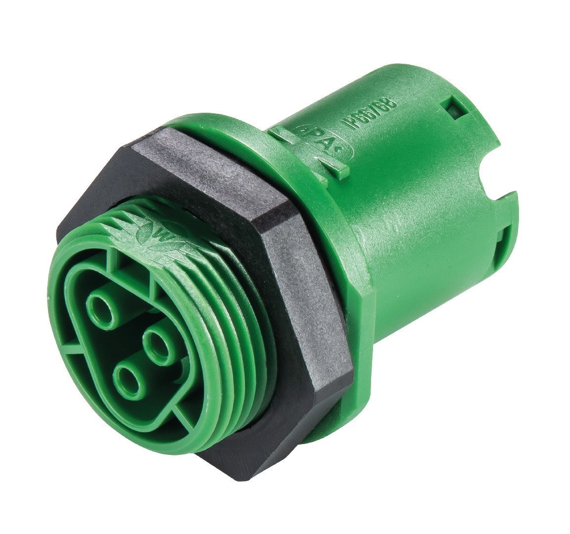 Wieland RST20I3 Rst20i3 Chassis normale M25 female groen