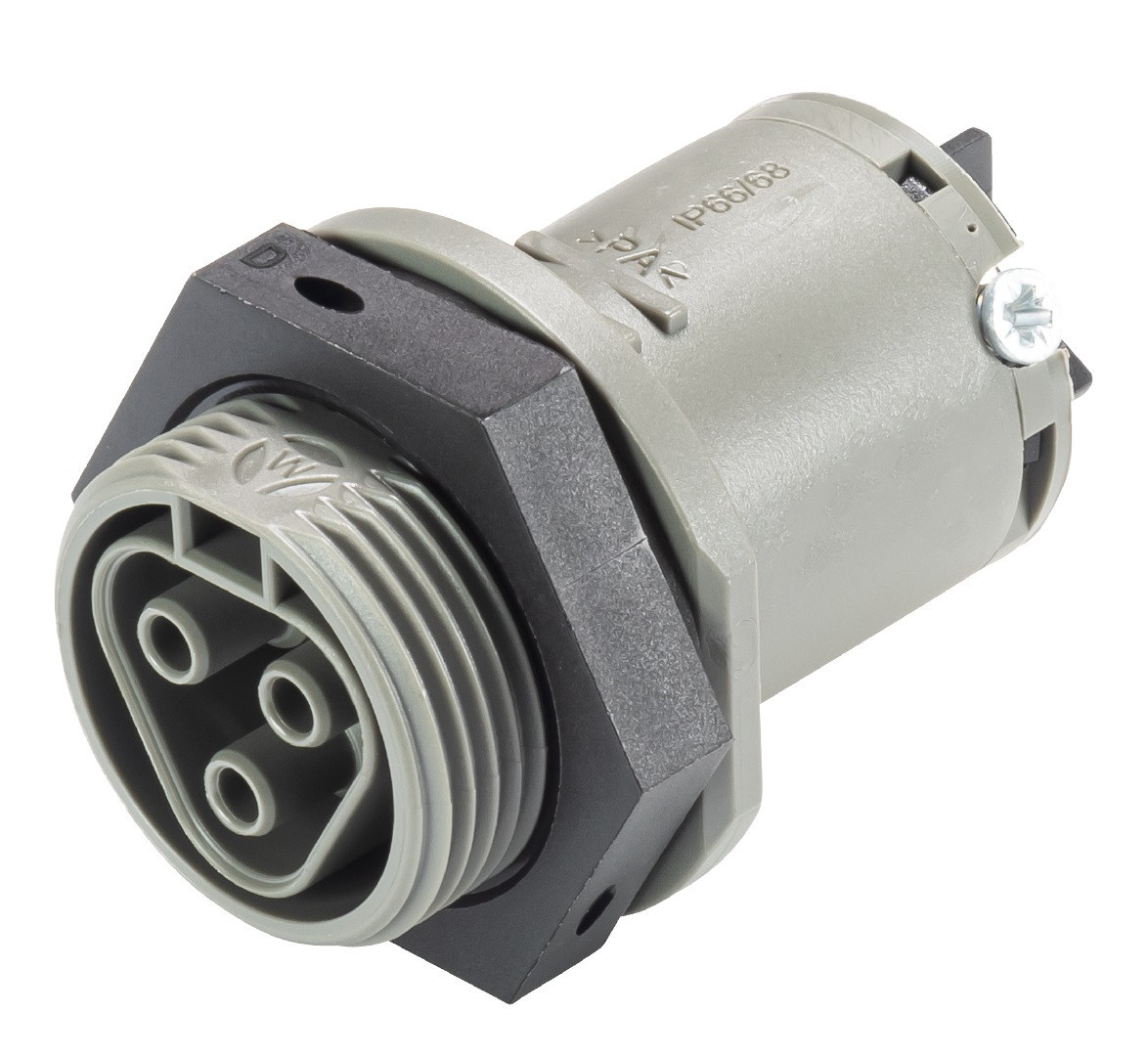 Wieland RST20I3 Rst25i3 Chassis M25 female betongrijs schroef