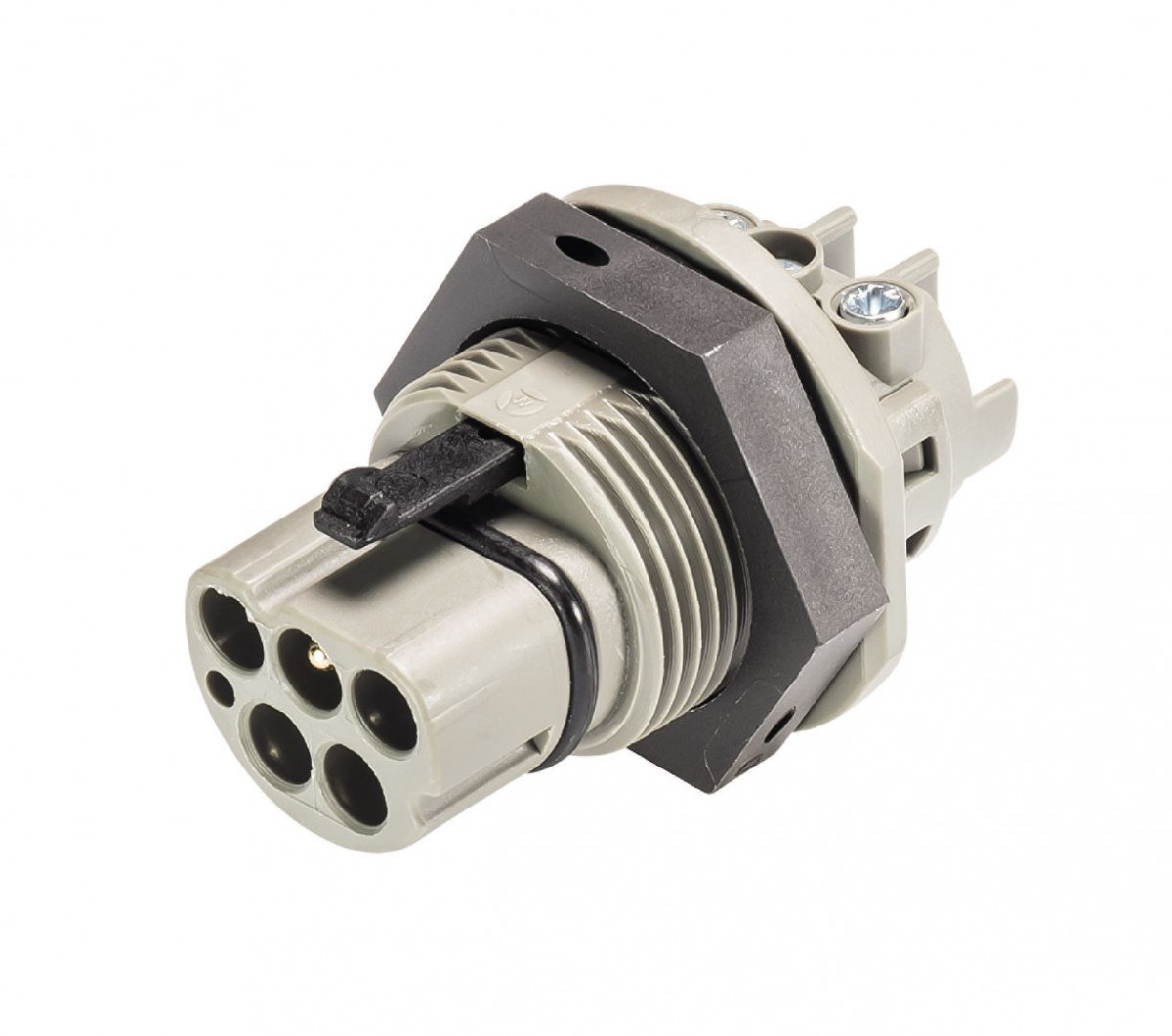 Wieland RST25I5 Stekerdeel Rst25i5s S1 M01V M25 betongrijs