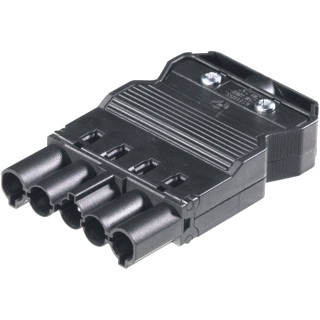 Wieland STEK MALE 5P GST18   ZK10