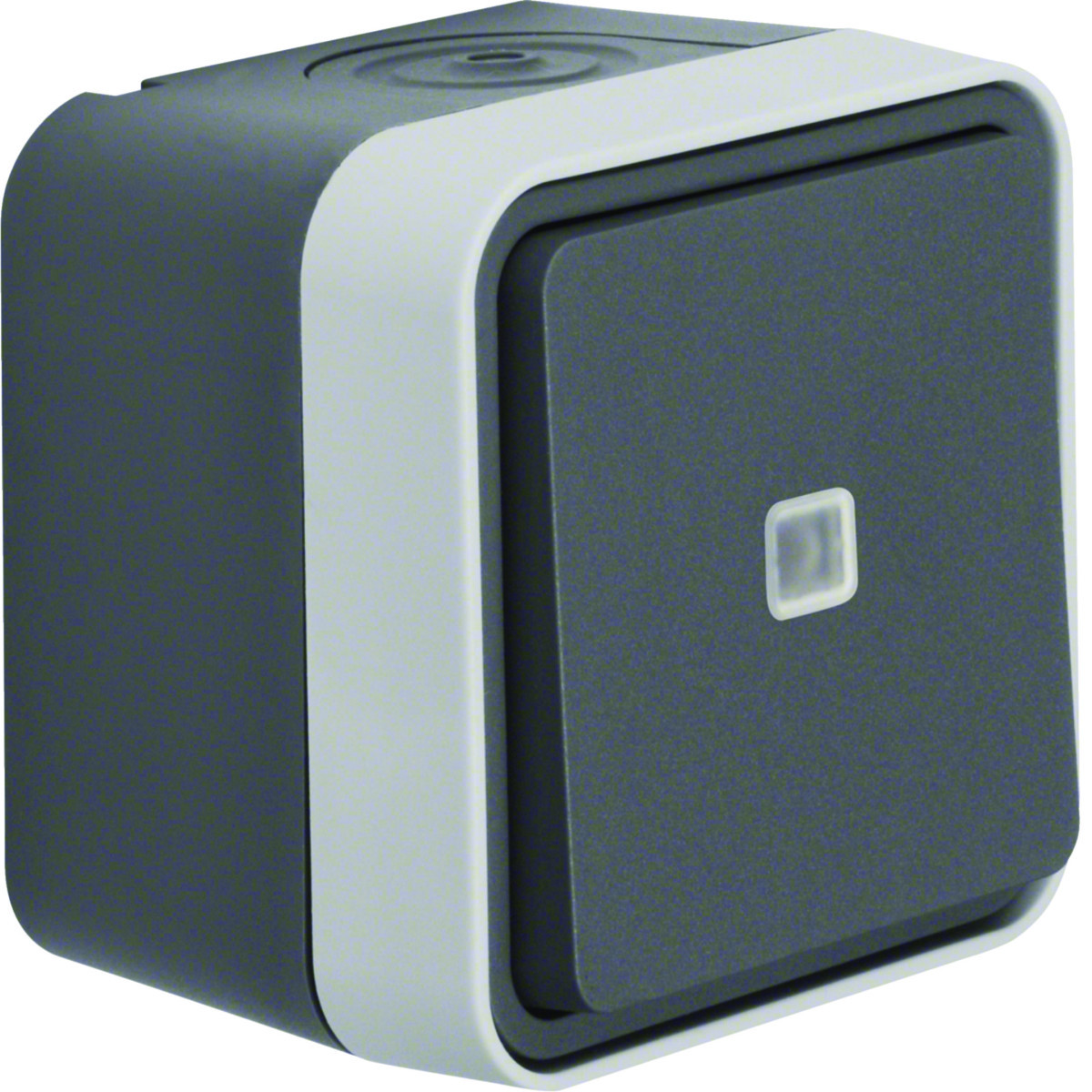 Wisselschakelaar Controle verlichting (rood) +behuizing, W.1 eco grijs